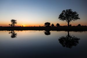 1. Platz: "Sonnenuntergang am Kwando (Namibia)", von Ralf Wandke