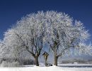 4. Platz 'Ein Wintertraum' von Wolfgang Koston