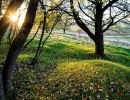 8. Platz "Herbstliches Abendlicht" von Hermann Weiß