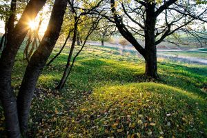 8. Platz "Herbstliches Abendlicht" von Hermann Weiß