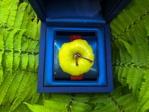 1. Platz "Apple Watch" von Evi Mayer