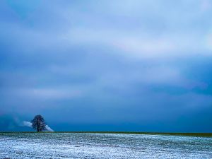 3.Platz "Bayerischer Blizzard" von Evi Mayer