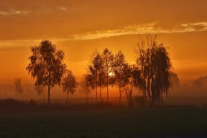 4.Platz "Sonnenaufgang" von Ingo Rittscher