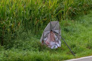 7.Platz "Unwetterschaden" von Alfred Heigl