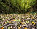 7.Platz 'Herbststimmung' von Hermann Weiß