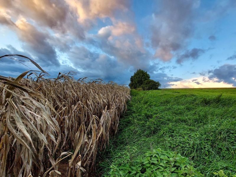 2.Platz 'Kontrastwetter' von Hermann Weiß 2.Platz 'Kontrastwetter' von Hermann Weiß