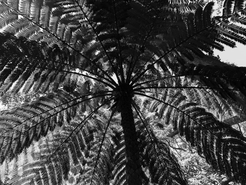 7.Platz 'Licht und Schatten' von Curd Jaenisch 7.Platz 'Licht und Schatten' von Curd Jaenisch