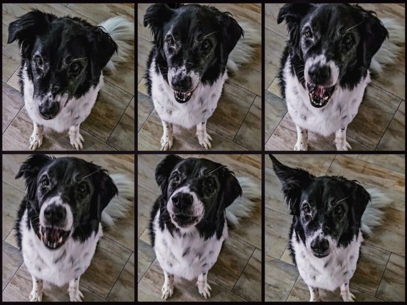 5.Platz 'Bellkonzert' von Samantha Mito 5.Platz 'Bellkonzert' von Samantha Mito