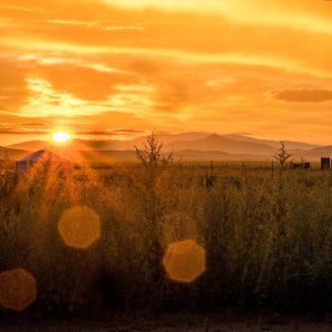 8.Platz 'Güldener Sonnenuntergang' von Lisa Meinhold