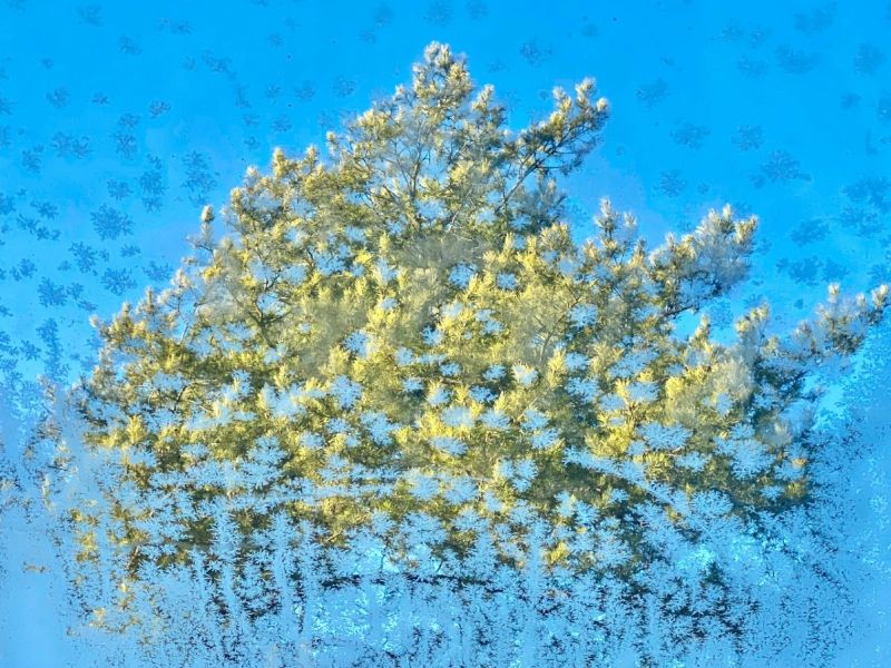 6.Platz 'Frostige Aussicht' von Evi Mayer 6.Platz 'Frostige Aussicht' von Evi Mayer