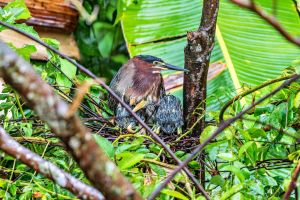 1.Platz 'Mama, wir werden nass' von Ralf Wandke