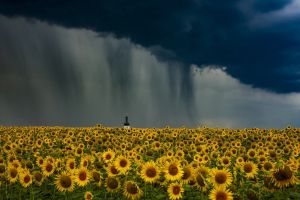 1.Platz 'Gewitter' von Helmut Schwalm