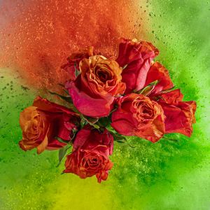 4. Platz 'Farbexplosion' von Rudi Bock