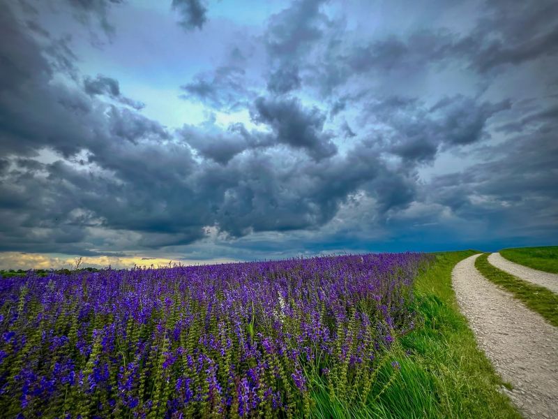 2.Platz 'Da braut sich was zusammen' von Evi Mayer 2.Platz 'Da braut sich was zusammen' von Evi Mayer
