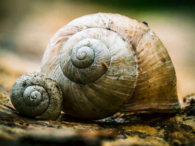 4.Platz 'Die Natur als Künstler' von Hermann Weiß 4.Platz 'Die Natur als Künstler' von Hermann Weiß