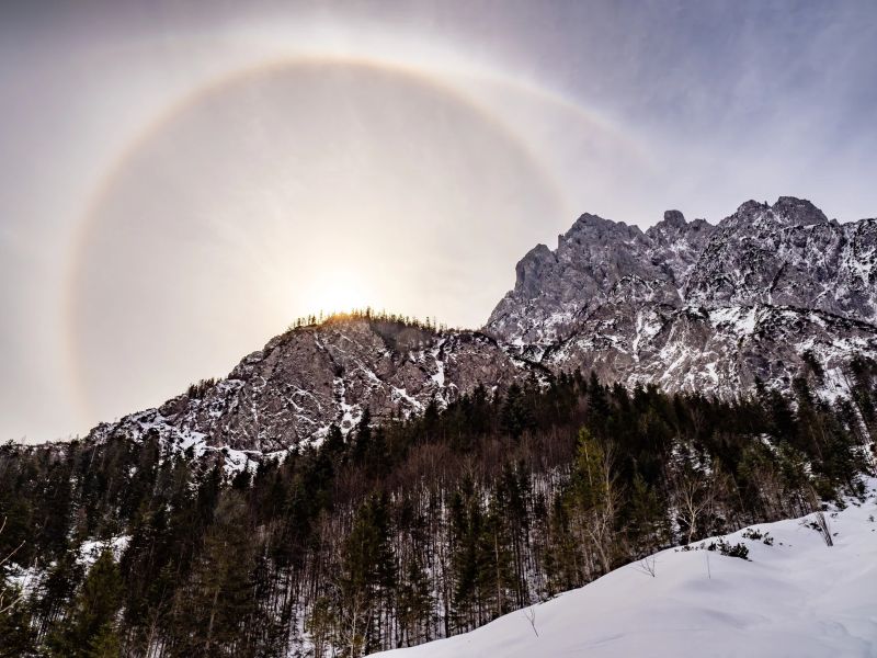 9.Platz 'Corona Phänomen' von Hermann Weiß 9.Platz 'Corona Phänomen' von Hermann Weiß