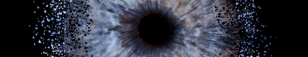 3.platz  iris  von rudi bock