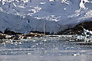 Segelschiff im Magdalenen-Fjord